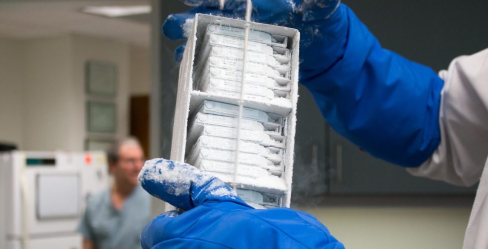 Sperm Cryopreservation in NYC & Purchase, NY Maze Laboratories