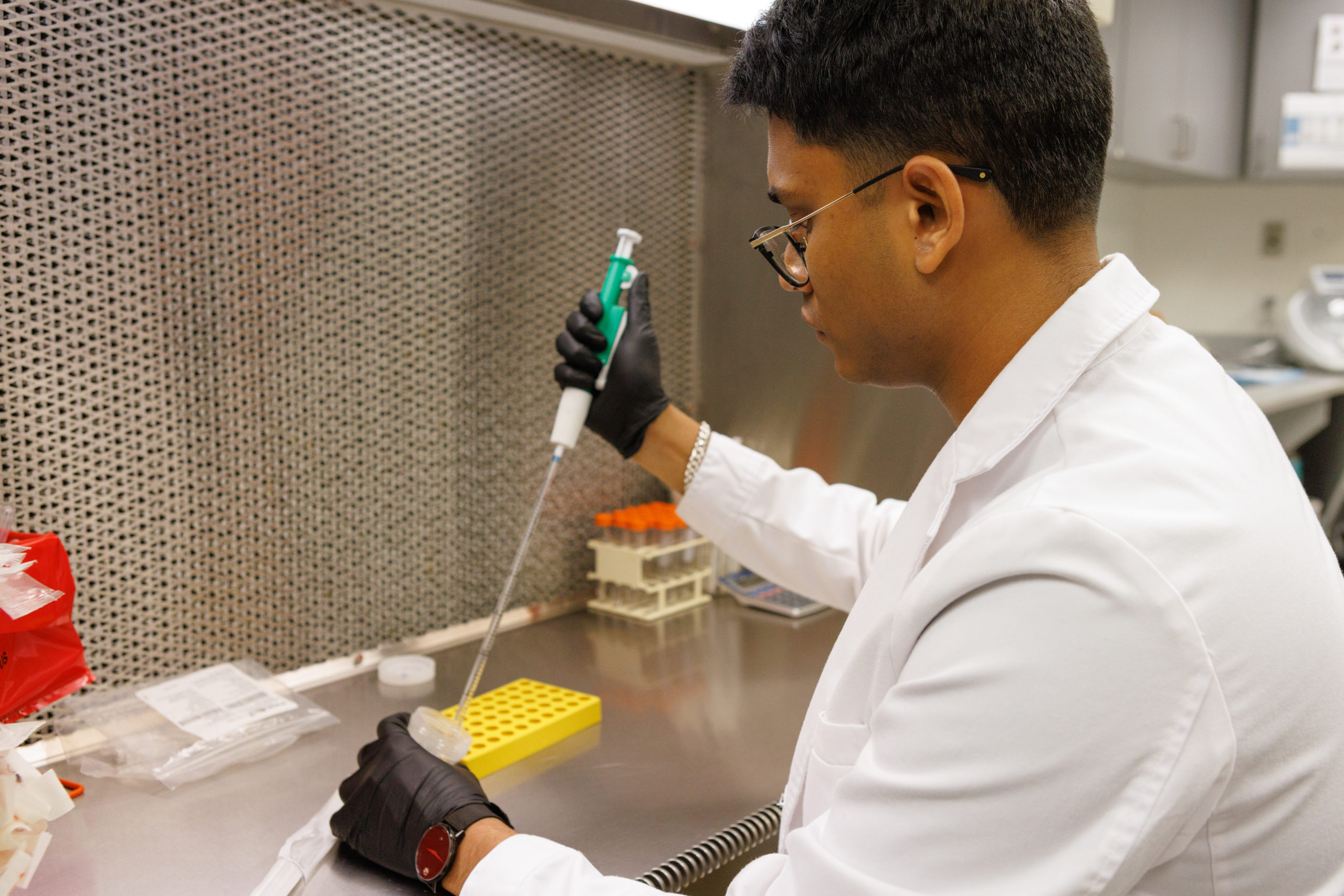 NY Male Infertility Specialist Werner, MD Maze Laboratories