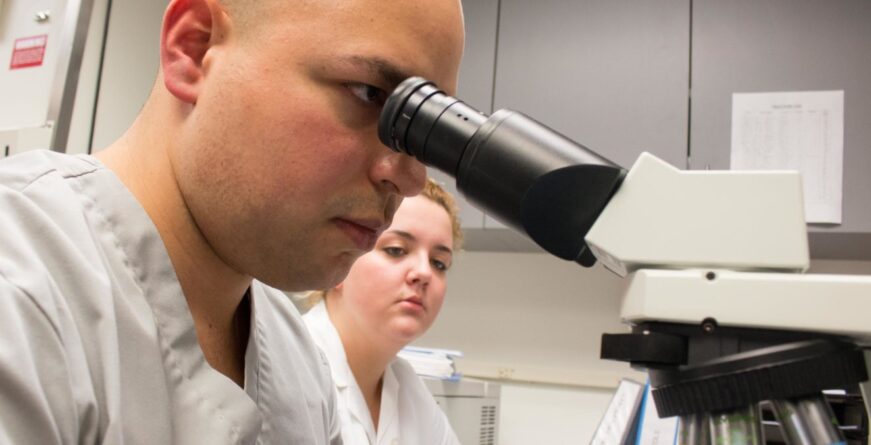 BANNER IMAGES ABOUT US 871x445