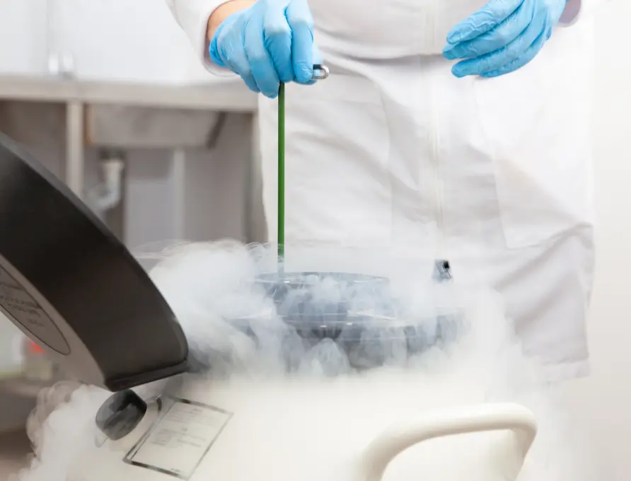 img directed donor sperm 2x