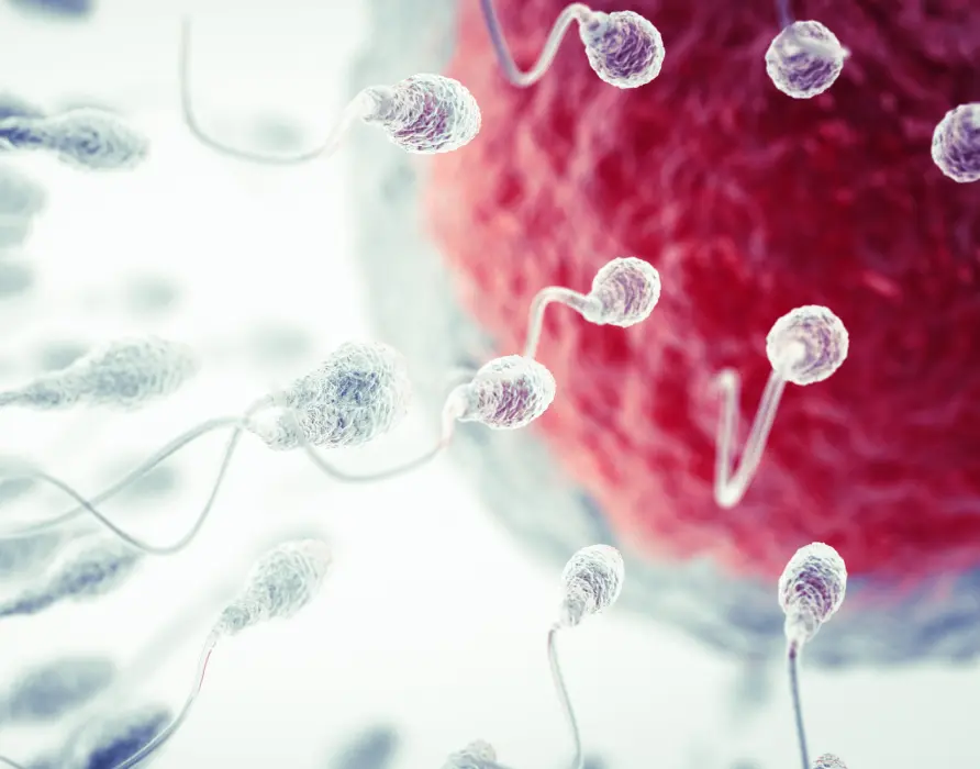 img sperm production issues 2x