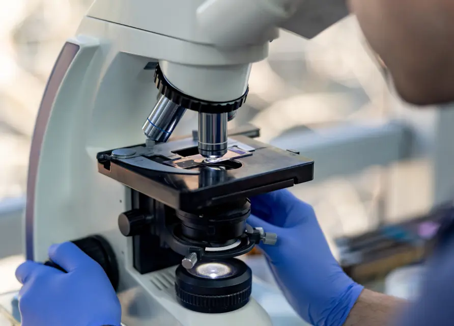 img standard semen testing 2x