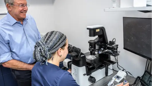 westchester 04 1x.webp