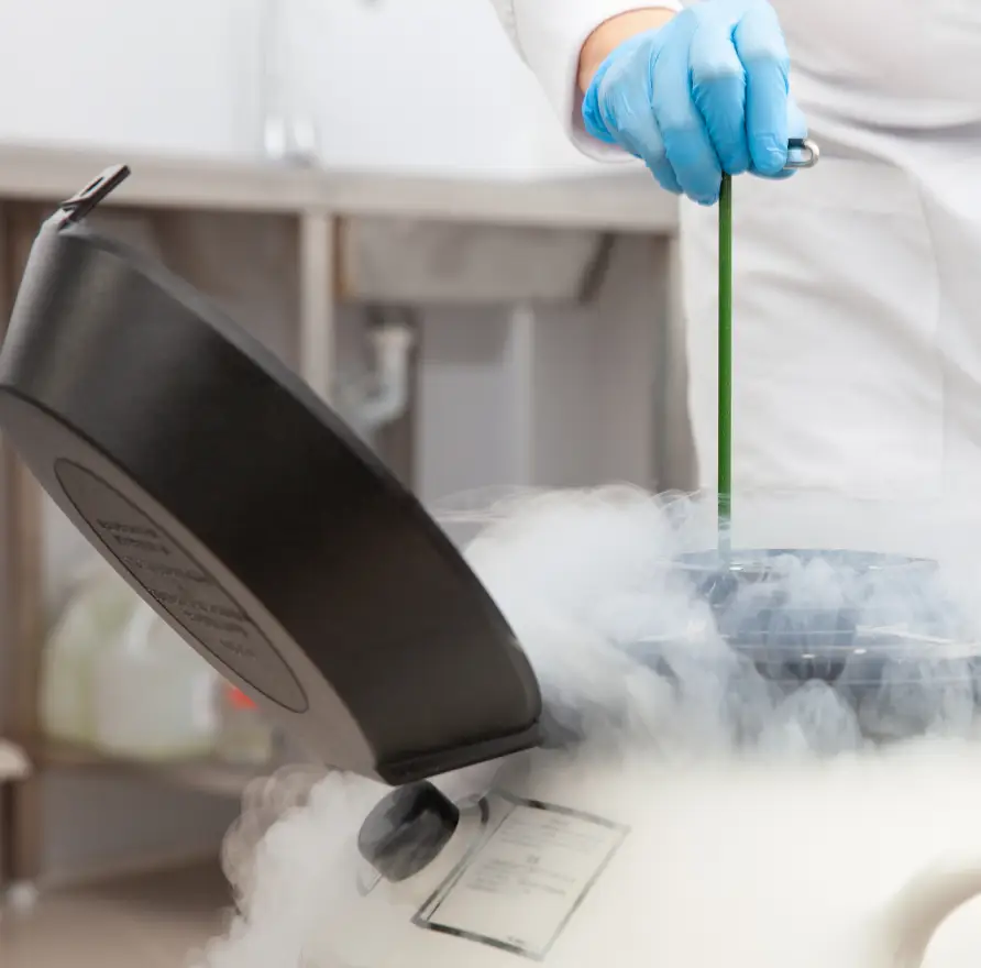 img faster identification of rare sperm with the same maze level precision 2x