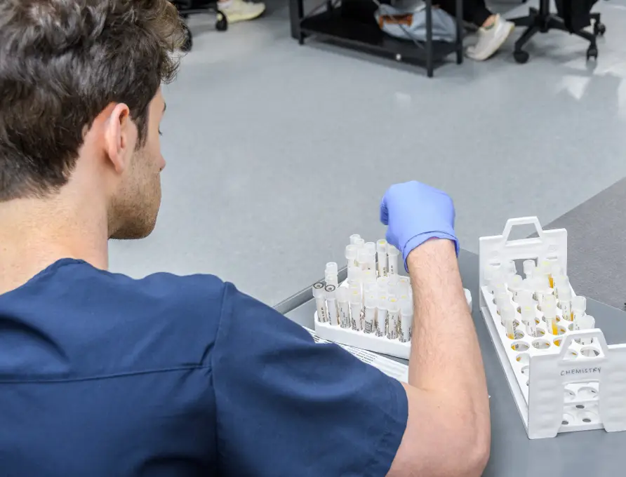 img microscopic testicular sperm extraction 2x