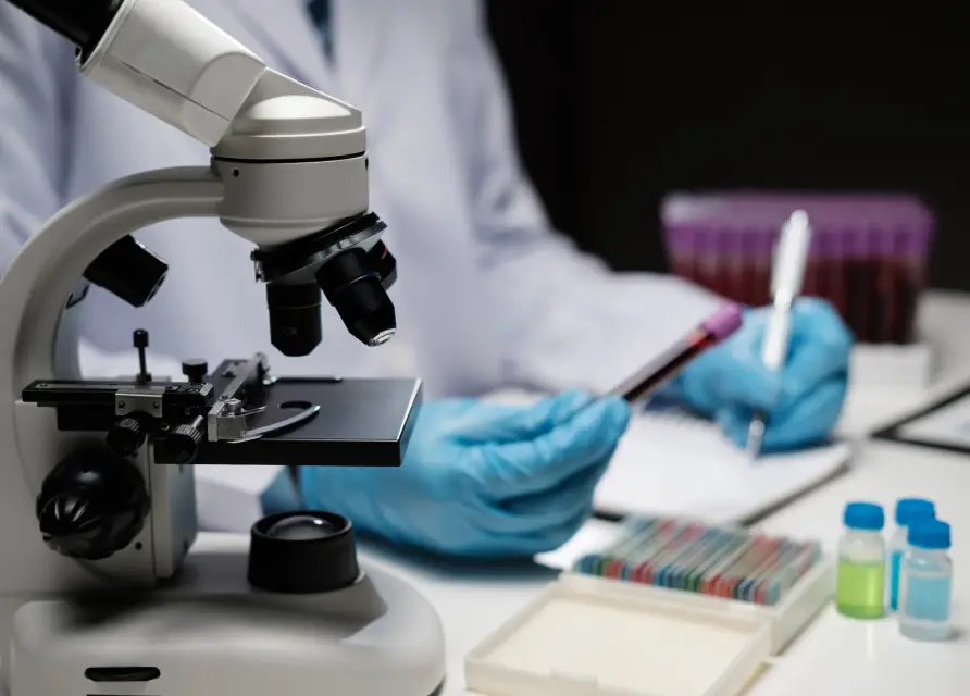 img success rates when you ll see results 2x