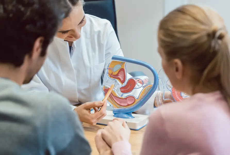 img male infertility testing 2x